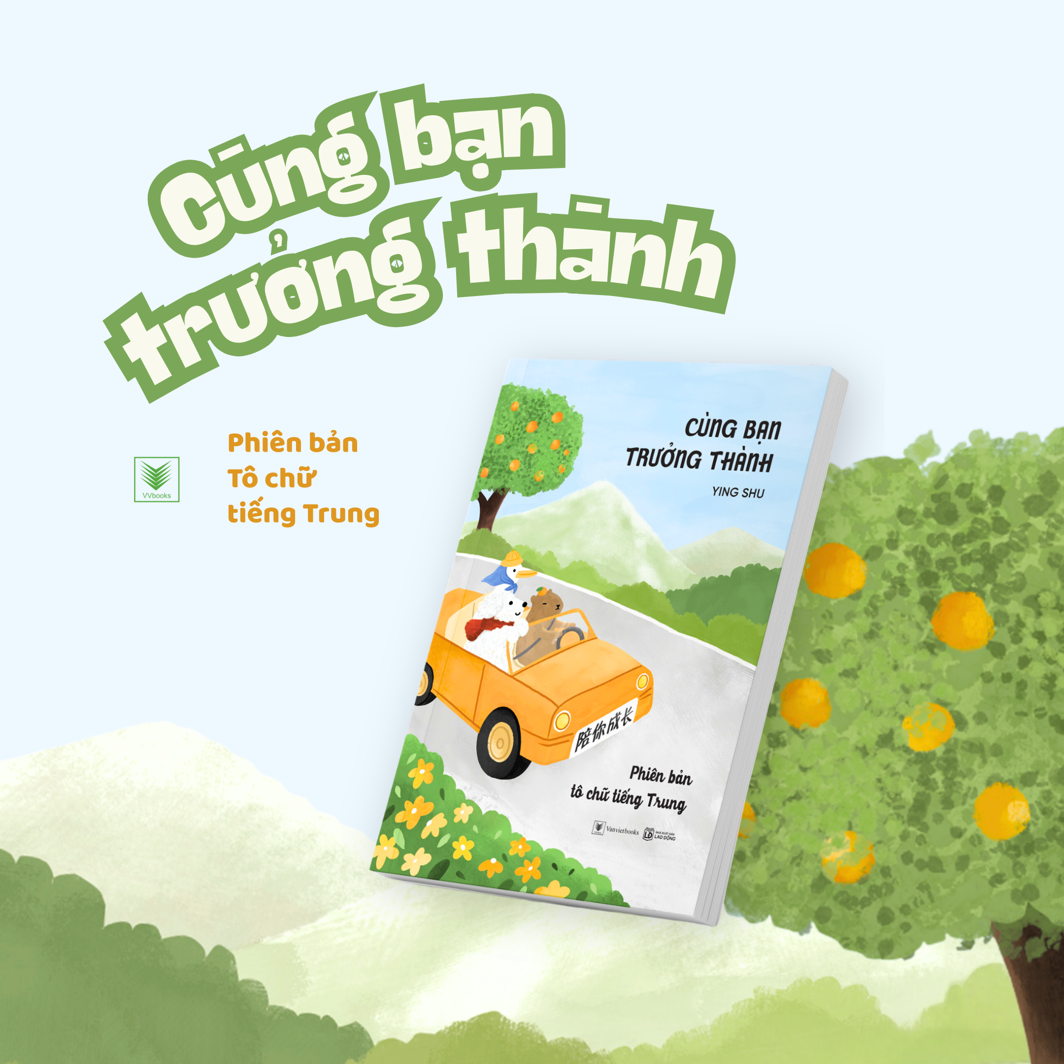 cùng bạn trưởng thành - phiên bản tô chữ tiếng trung - Ảnh 3