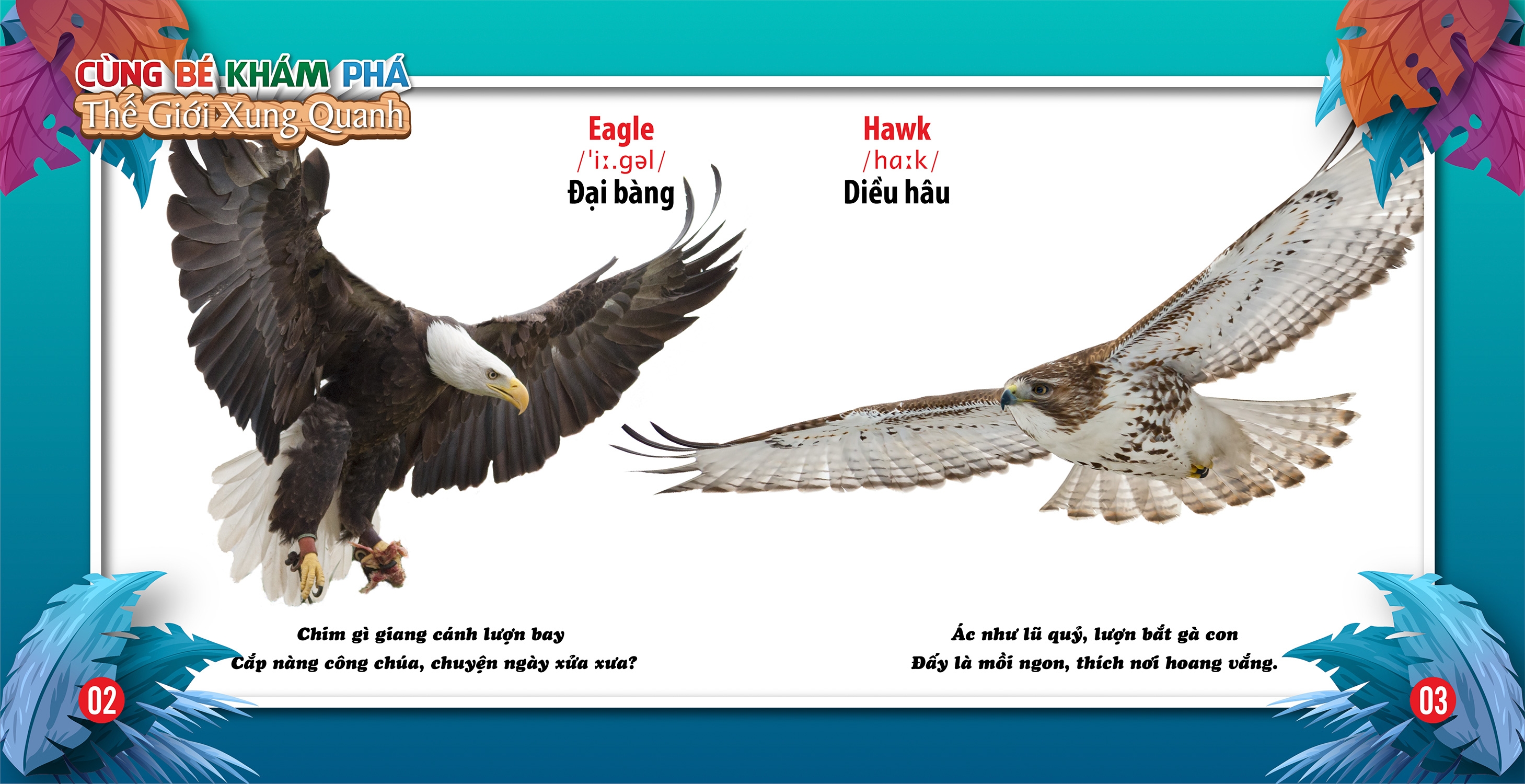 cùng bé khám phá thế giới xung quanh - chim (sách song ngữ) - Ảnh 3