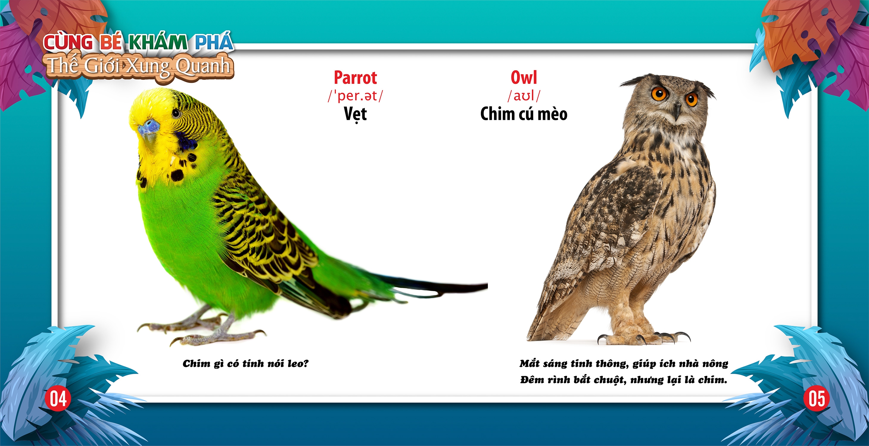 cùng bé khám phá thế giới xung quanh - chim (sách song ngữ) - Ảnh 4