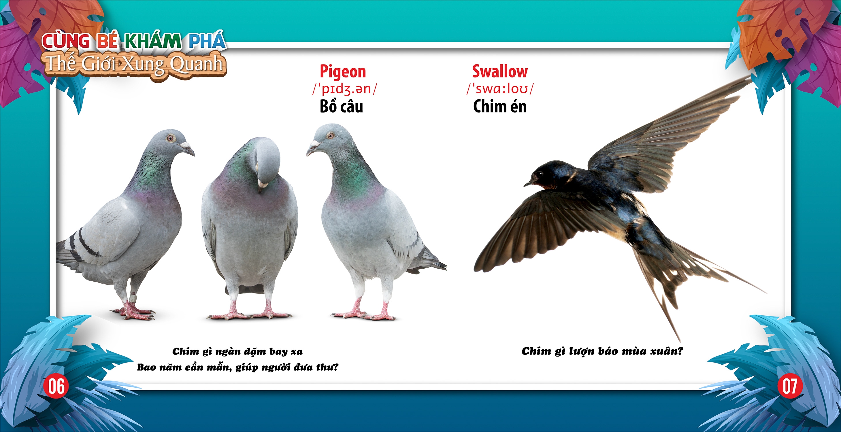cùng bé khám phá thế giới xung quanh - chim (sách song ngữ) - Ảnh 5