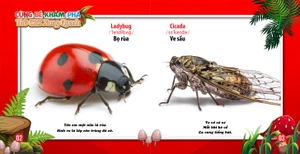 cùng bé khám phá thế giới xung quanh - côn trùng (sách song ngữ) - Ảnh 3