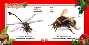 cùng bé khám phá thế giới xung quanh - côn trùng (sách song ngữ) - Ảnh 4