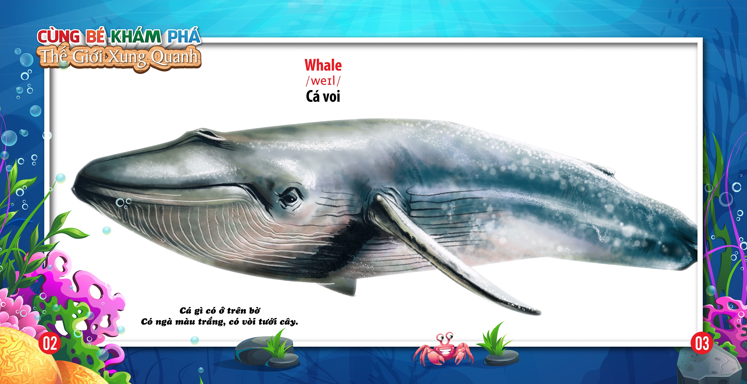 cùng bé khám phá thế giới xung quanh - động vật dưới nước (sách song ngữ) - Ảnh 3