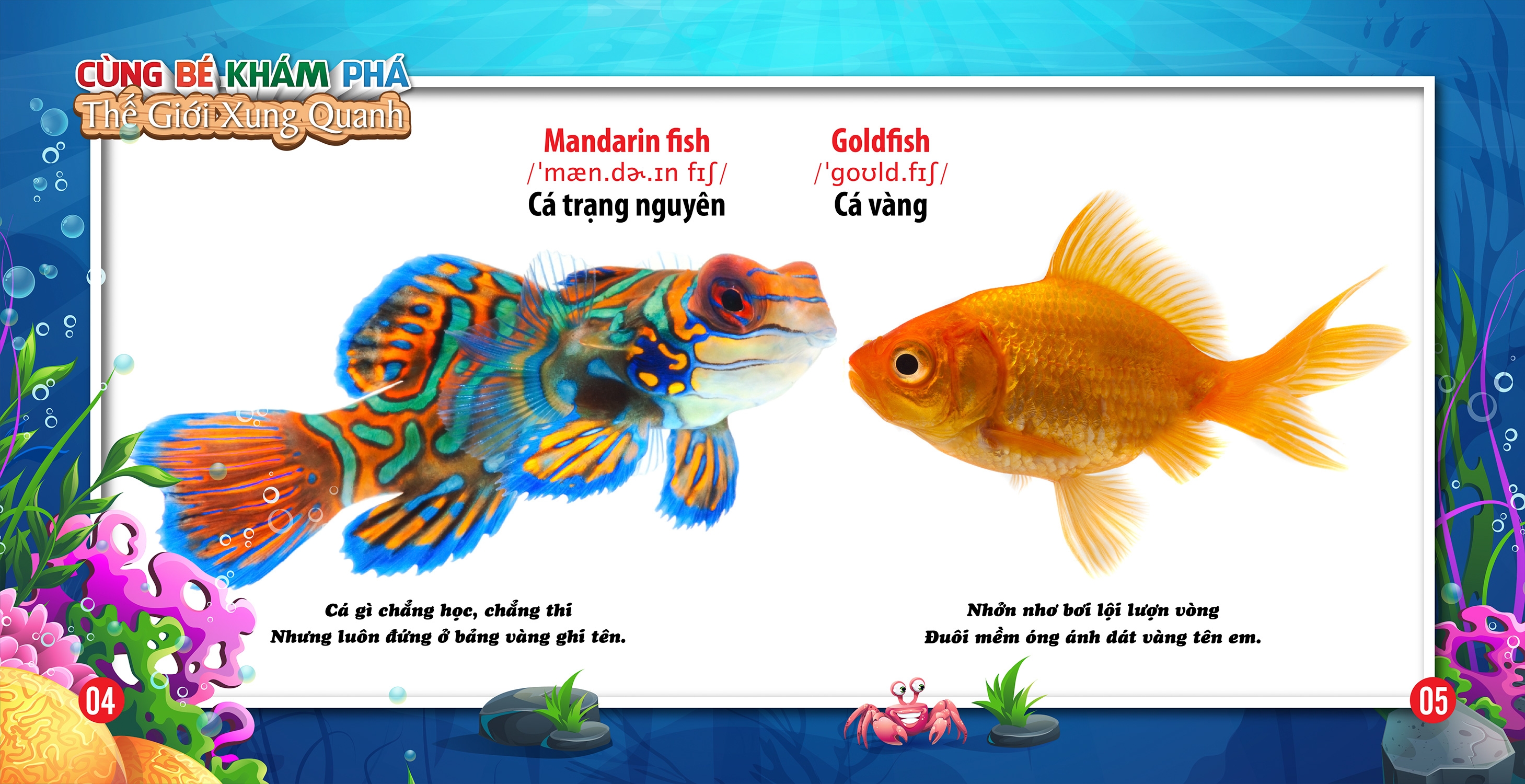 cùng bé khám phá thế giới xung quanh - động vật dưới nước (sách song ngữ) - Ảnh 4
