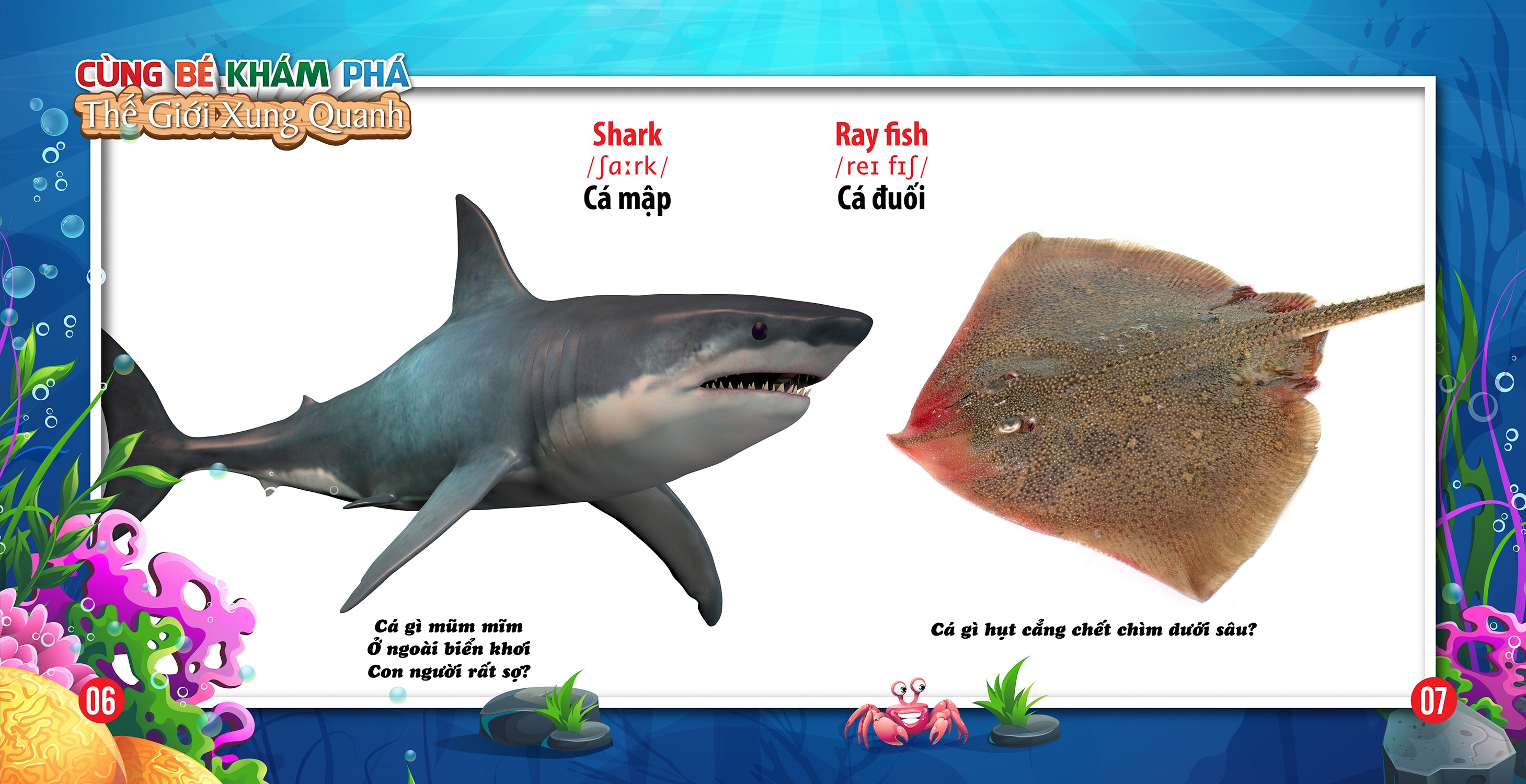 cùng bé khám phá thế giới xung quanh - động vật dưới nước (sách song ngữ) - Ảnh 5