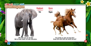 cùng bé khám phá thế giới xung quanh - động vật (sách song ngữ) - Ảnh 4