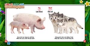 cùng bé khám phá thế giới xung quanh - động vật (sách song ngữ) - Ảnh 5