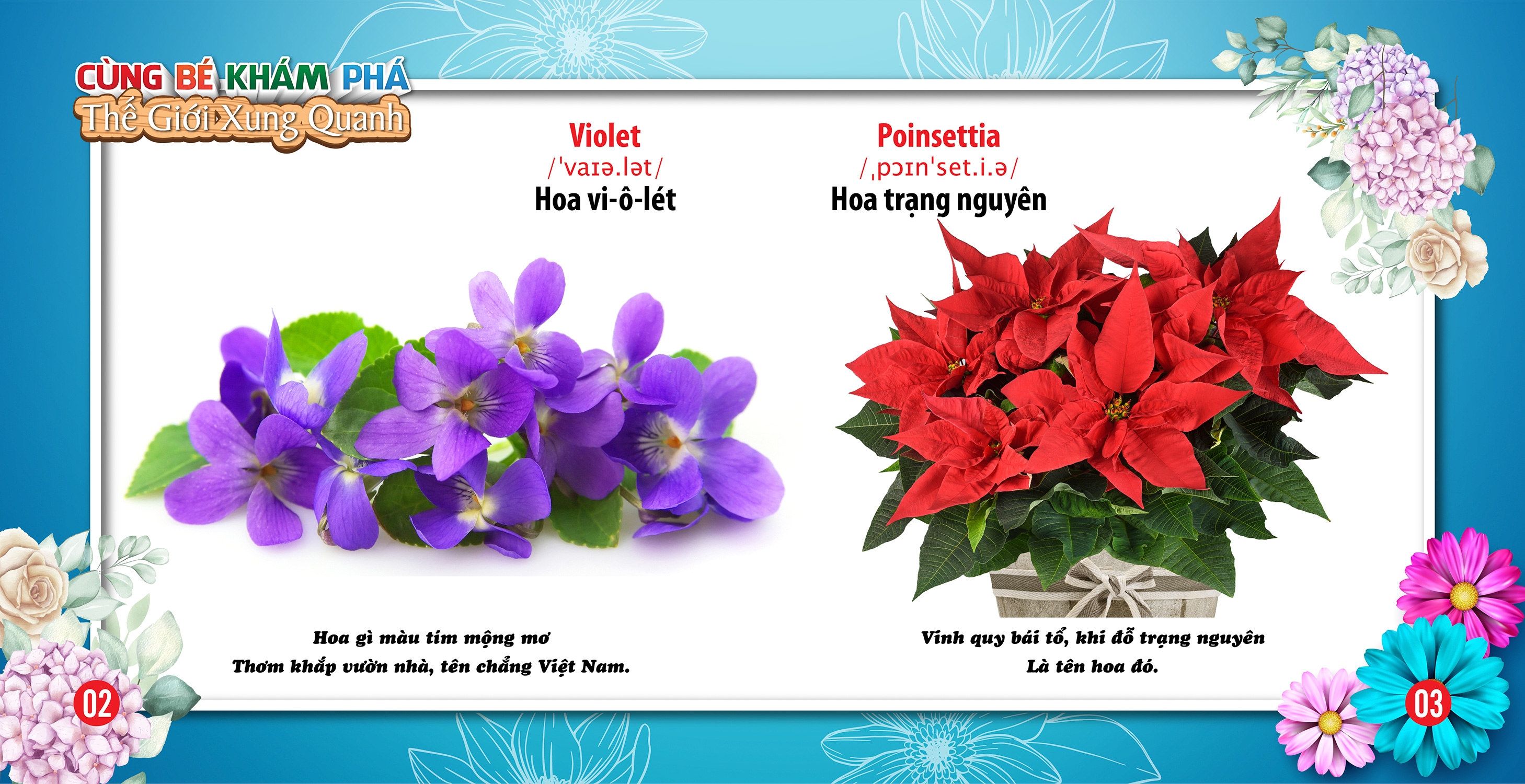 cùng bé khám phá thế giới xung quanh - hoa (sách song ngữ) - Ảnh 3