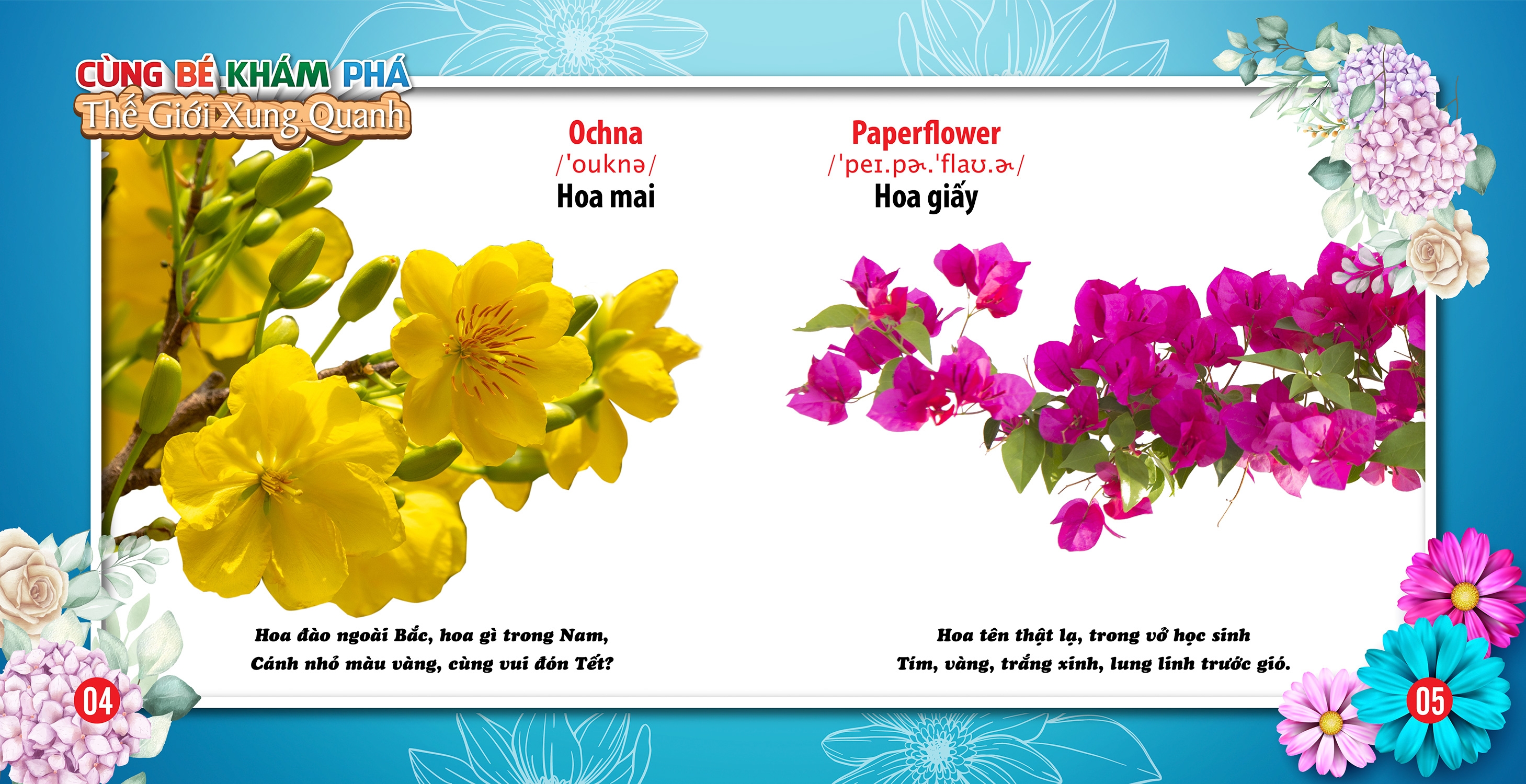 cùng bé khám phá thế giới xung quanh - hoa (sách song ngữ) - Ảnh 4