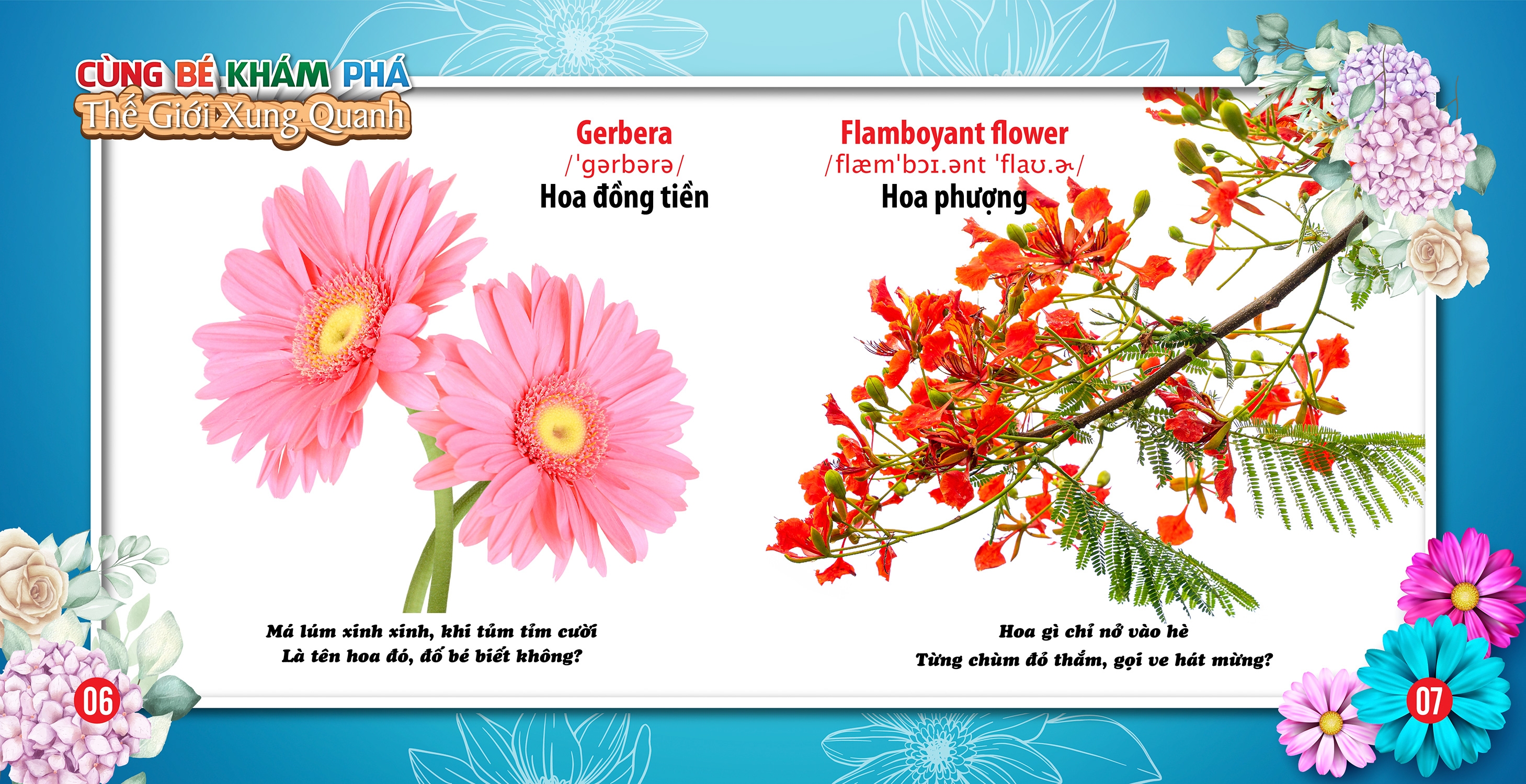 cùng bé khám phá thế giới xung quanh - hoa (sách song ngữ) - Ảnh 5