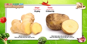 cùng bé khám phá thế giới xung quanh - rau củ (sách song ngữ) - Ảnh 4