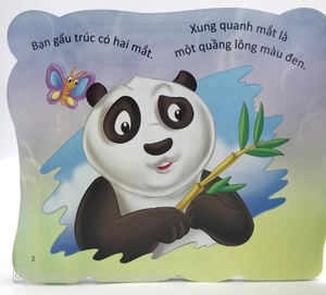 cùng bé yêu khám phá rừng xanh - chúng mình đã biết gì về loài gấu trúc - Ảnh 4