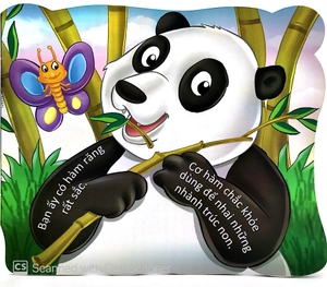 cùng bé yêu khám phá rừng xanh - chúng mình đã biết gì về loài gấu trúc - Ảnh 5