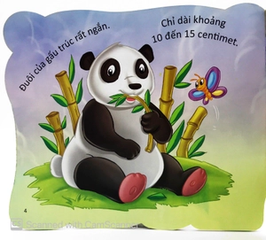 cùng bé yêu khám phá rừng xanh - chúng mình đã biết gì về loài gấu trúc - Ảnh 6