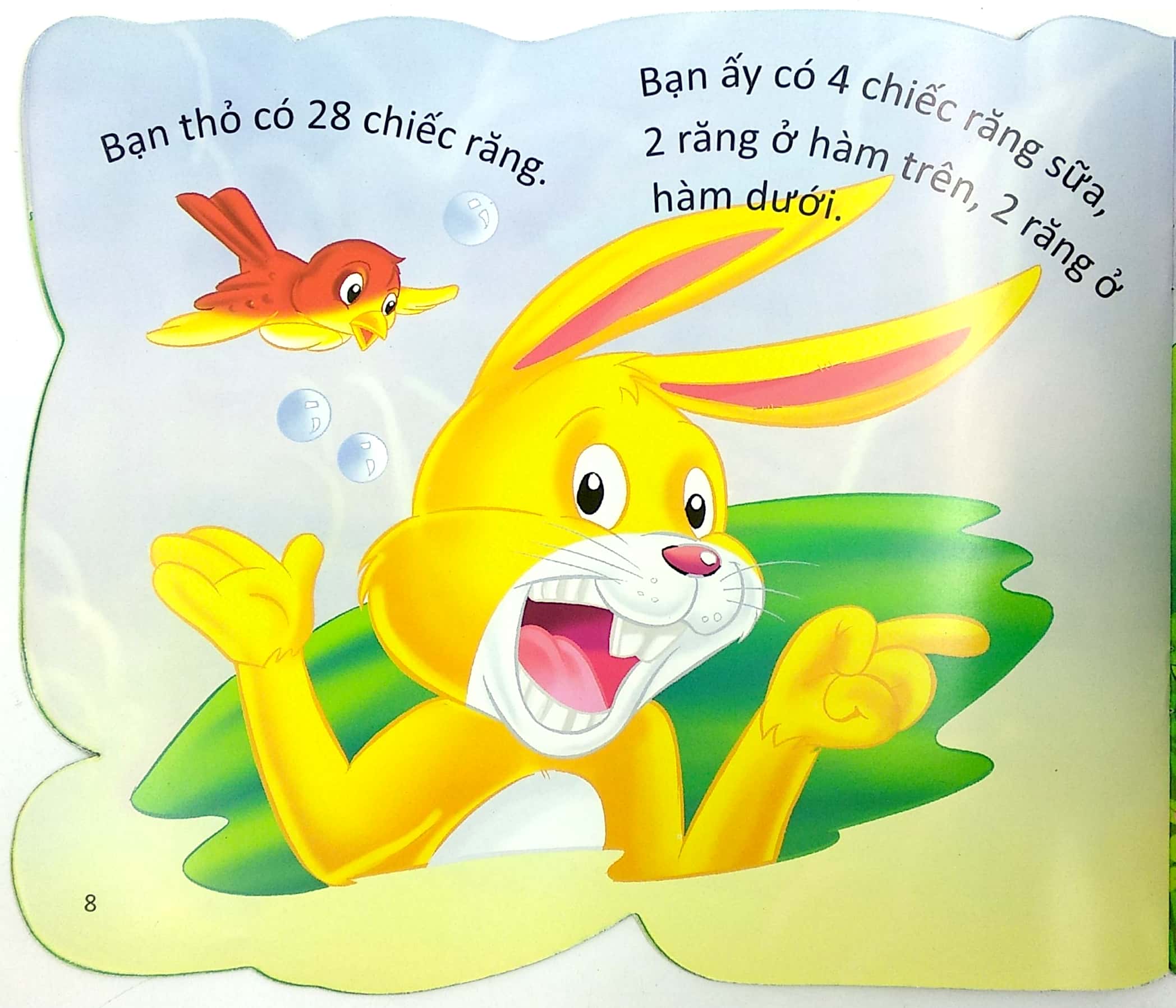 cùng bé yêu khám phá rừng xanh - chúng mình đã biết gì về loài thỏ - Ảnh 10