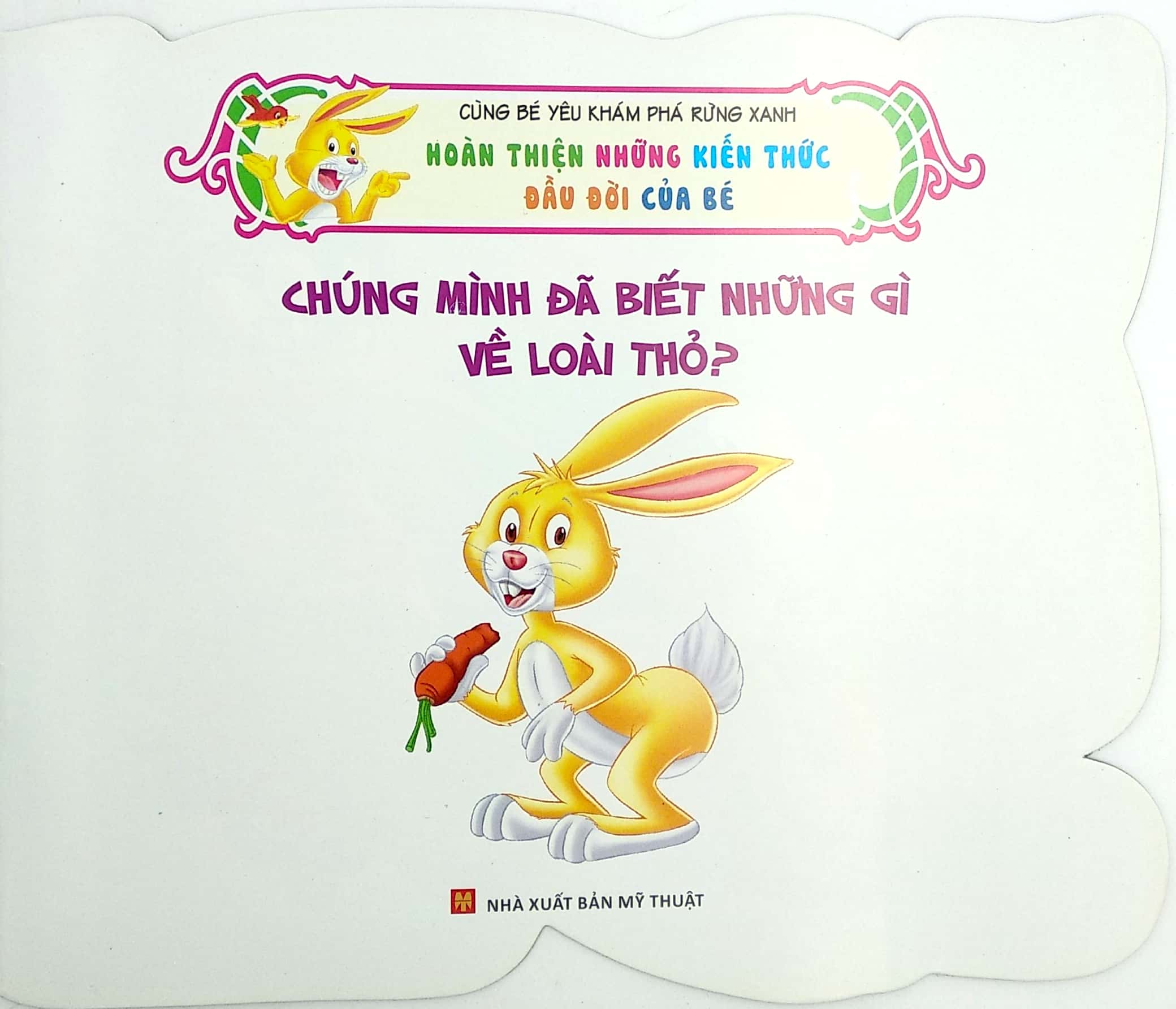 cùng bé yêu khám phá rừng xanh - chúng mình đã biết gì về loài thỏ - Ảnh 3