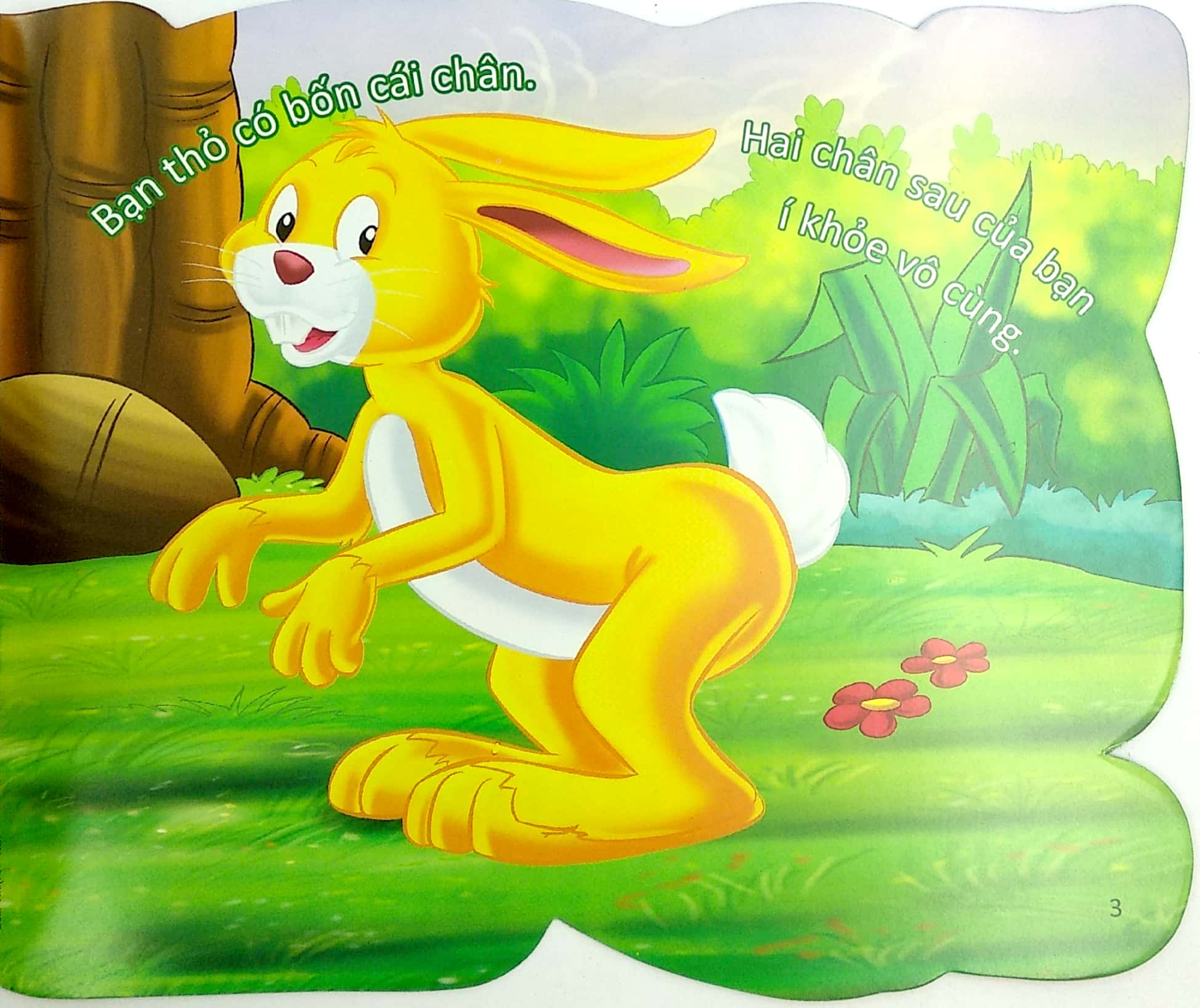 cùng bé yêu khám phá rừng xanh - chúng mình đã biết gì về loài thỏ - Ảnh 5