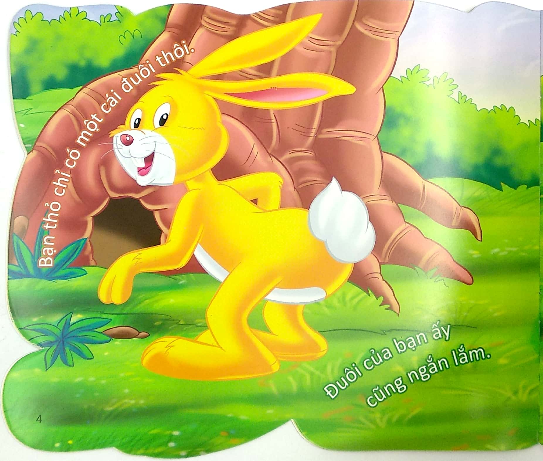 cùng bé yêu khám phá rừng xanh - chúng mình đã biết gì về loài thỏ - Ảnh 6