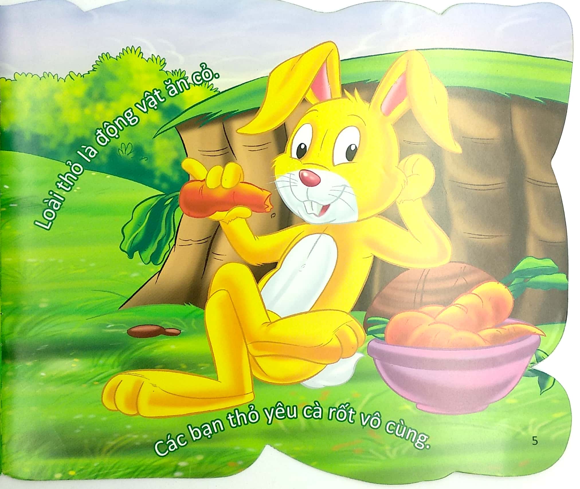 cùng bé yêu khám phá rừng xanh - chúng mình đã biết gì về loài thỏ - Ảnh 7