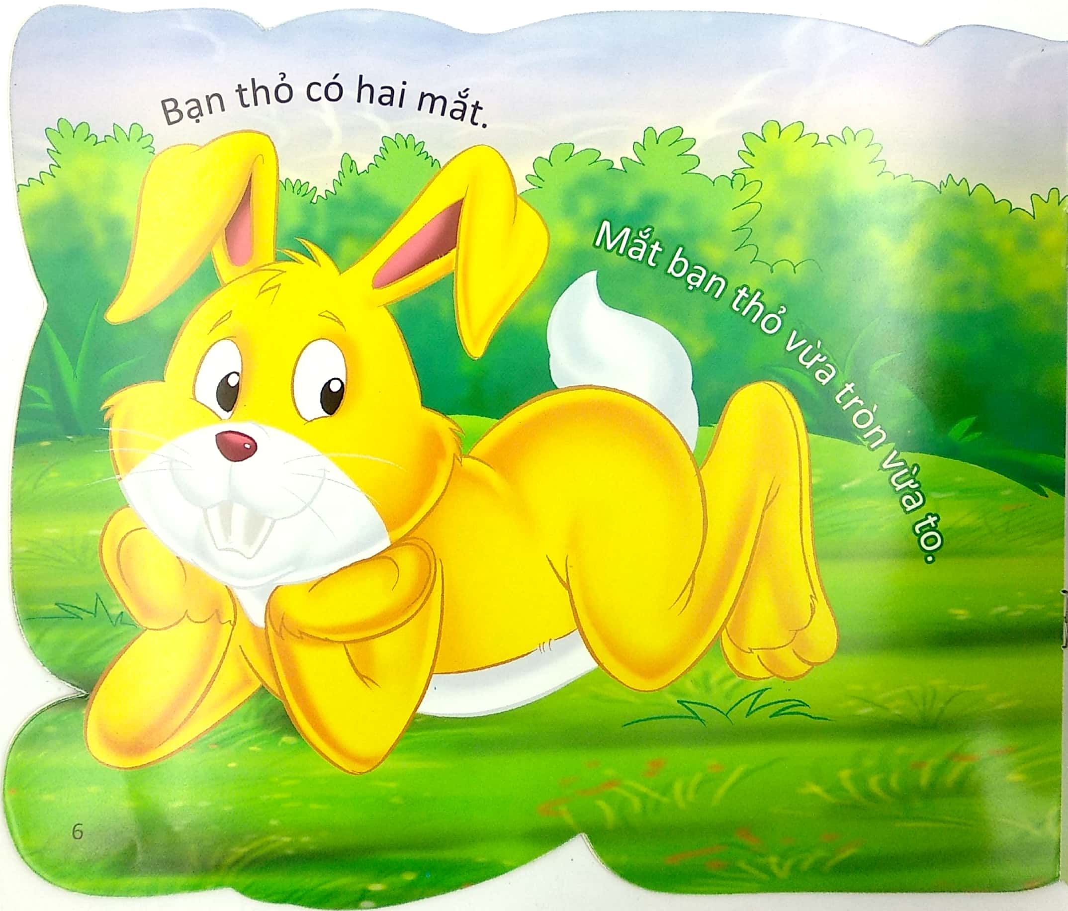 cùng bé yêu khám phá rừng xanh - chúng mình đã biết gì về loài thỏ - Ảnh 8