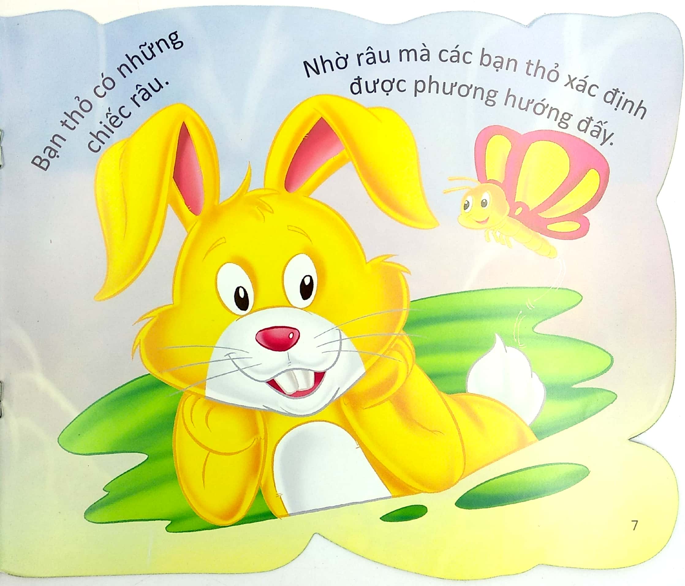 cùng bé yêu khám phá rừng xanh - chúng mình đã biết gì về loài thỏ - Ảnh 9