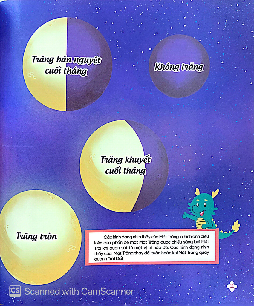 cùng bố khám phá thế giới - truy tìm dấu vết thỏ mặt trăng - Ảnh 5