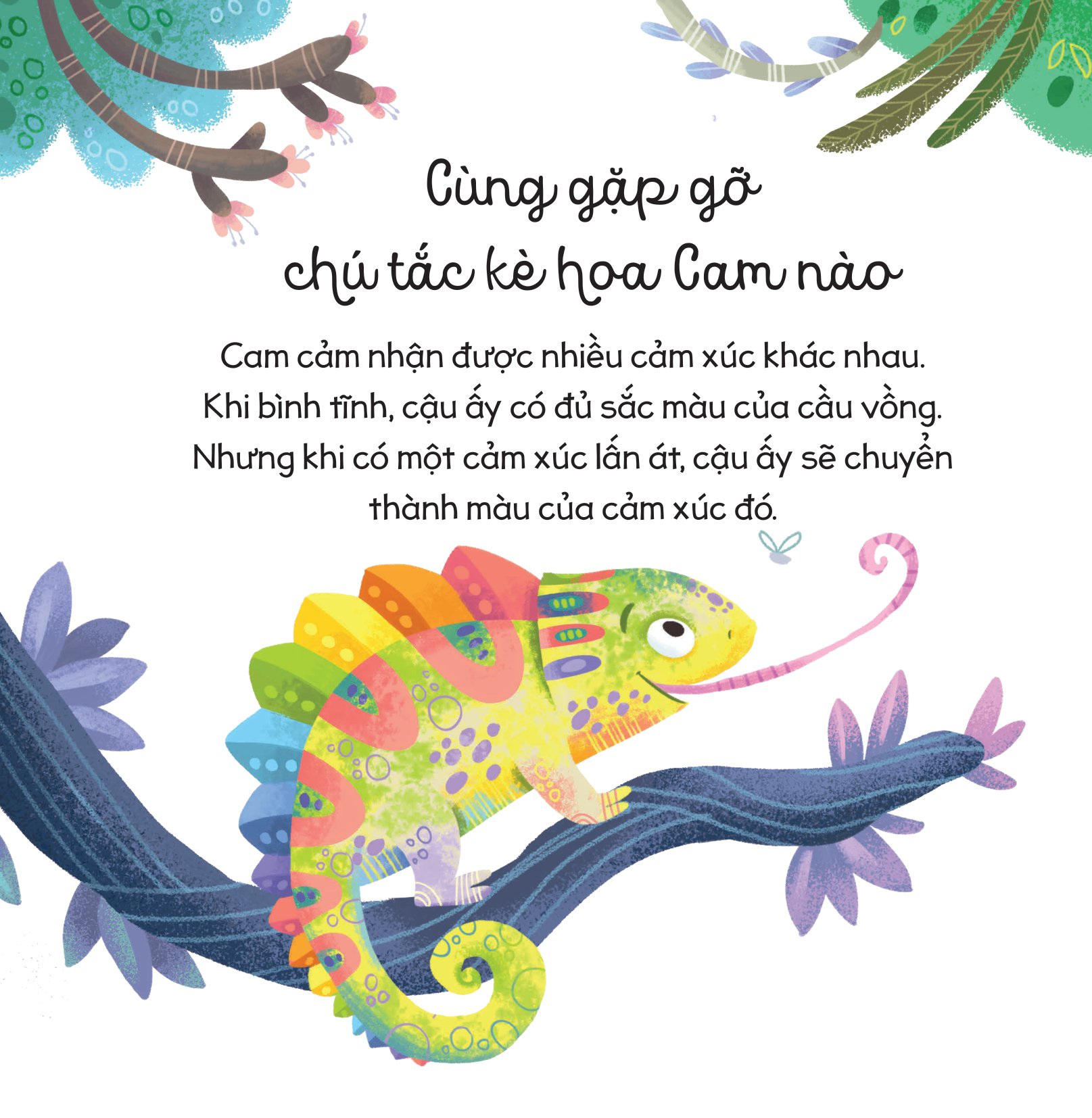 cùng con trưởng thành - cầu vồng cảm xúc (dành cho độ tuổi 3-9) - Ảnh 2