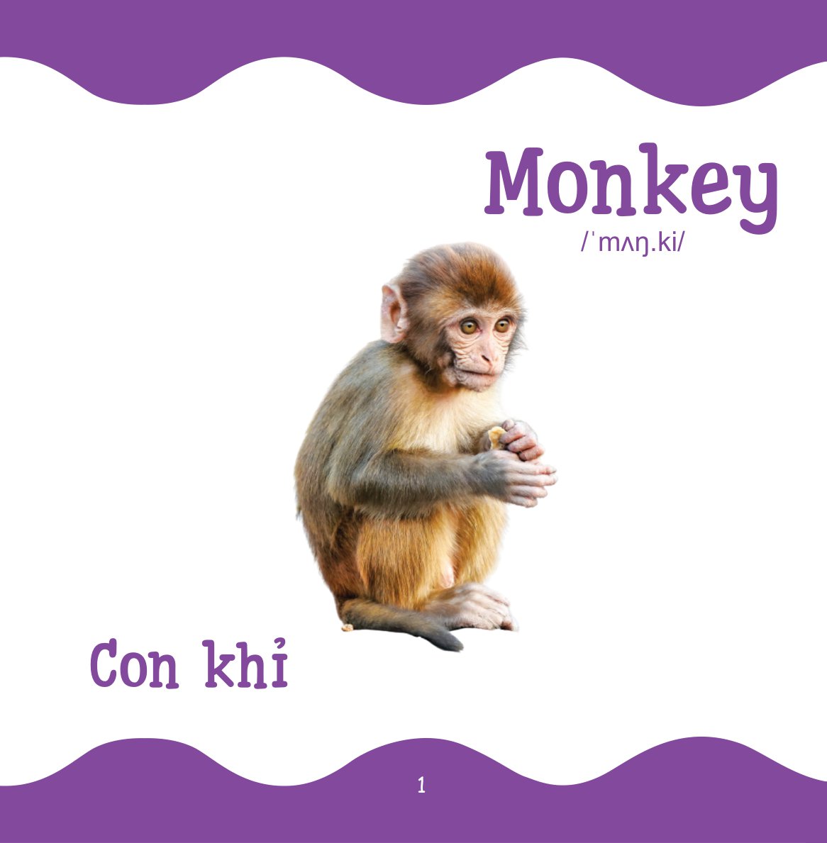 cùng con trưởng thành - từ điển bằng hình cho trẻ mầm non - động vật hoang dã - Ảnh 2