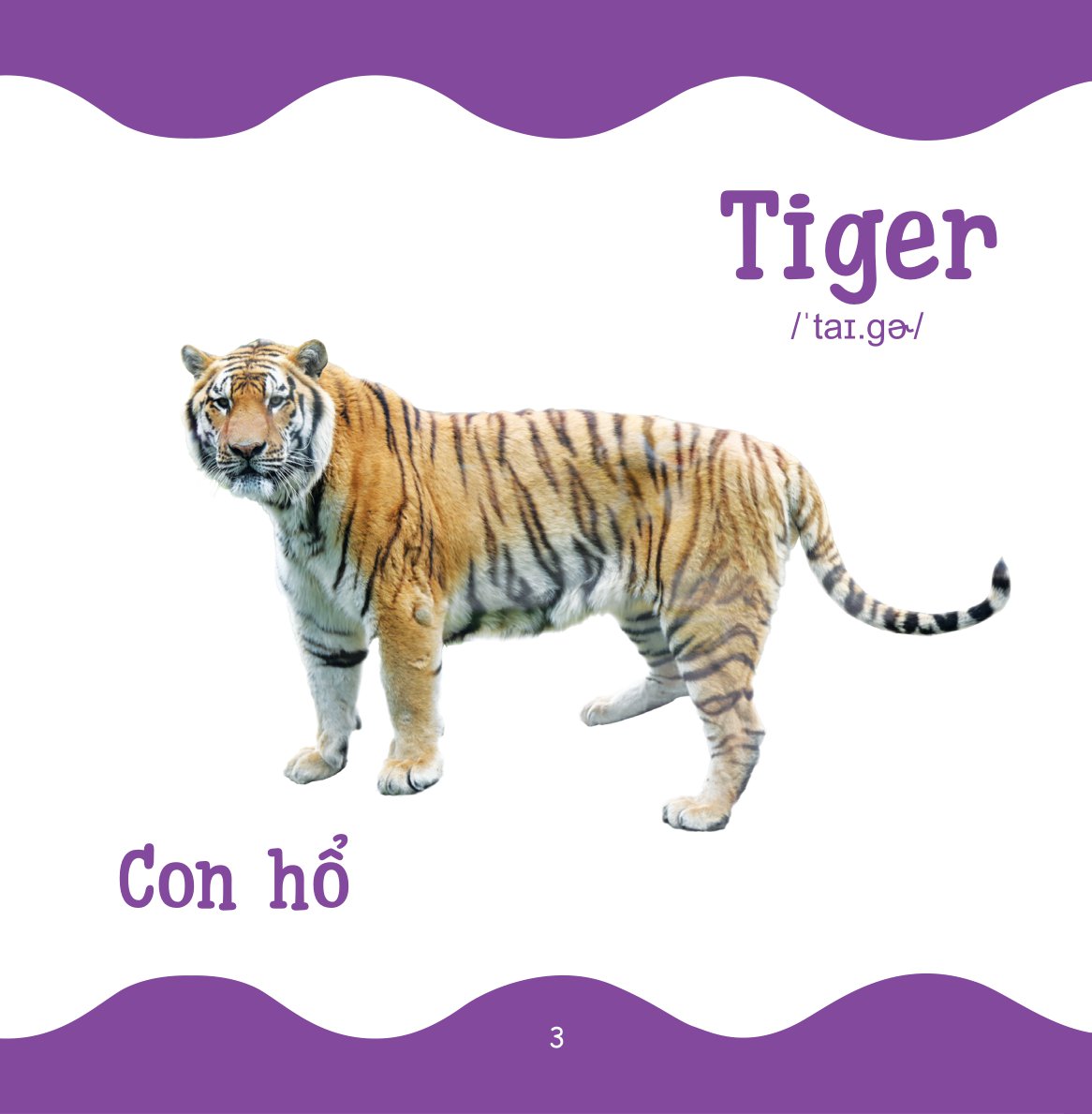 cùng con trưởng thành - từ điển bằng hình cho trẻ mầm non - động vật hoang dã - Ảnh 4