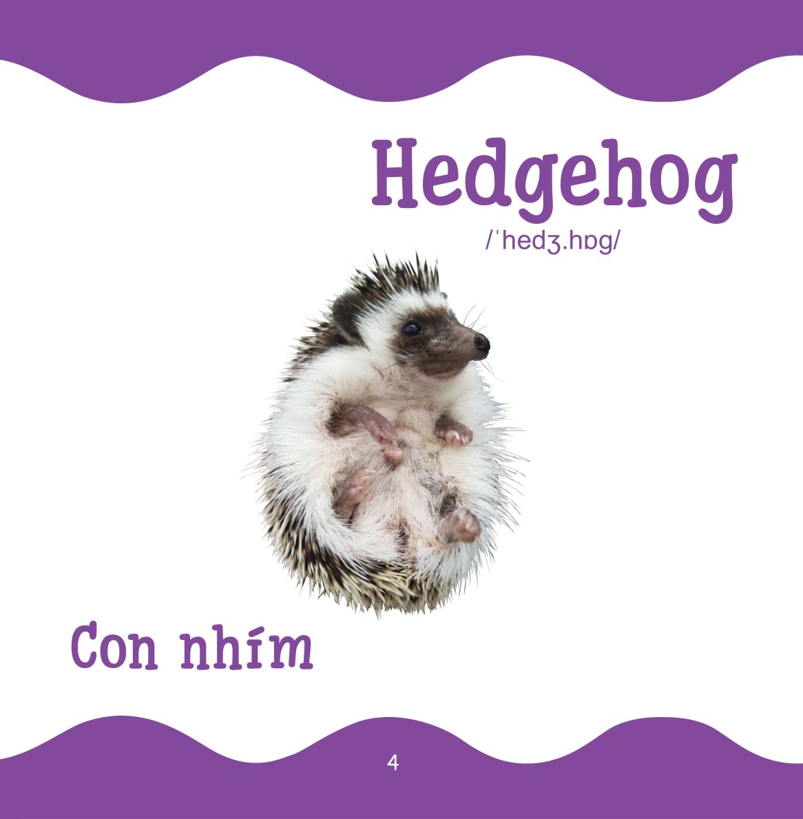 cùng con trưởng thành - từ điển bằng hình cho trẻ mầm non - động vật hoang dã - Ảnh 5