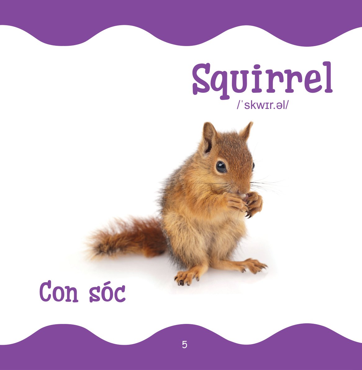 cùng con trưởng thành - từ điển bằng hình cho trẻ mầm non - động vật hoang dã - Ảnh 6