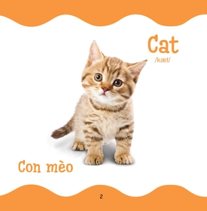 cùng con trưởng thành - từ điển bằng hình cho trẻ mầm non - động vật nuôi - Ảnh 3