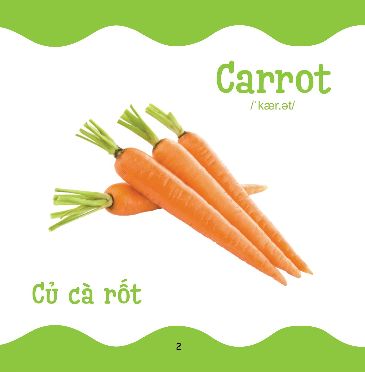 cùng con trưởng thành - từ điển bằng hình cho trẻ mầm non - rau củ quả - Ảnh 3