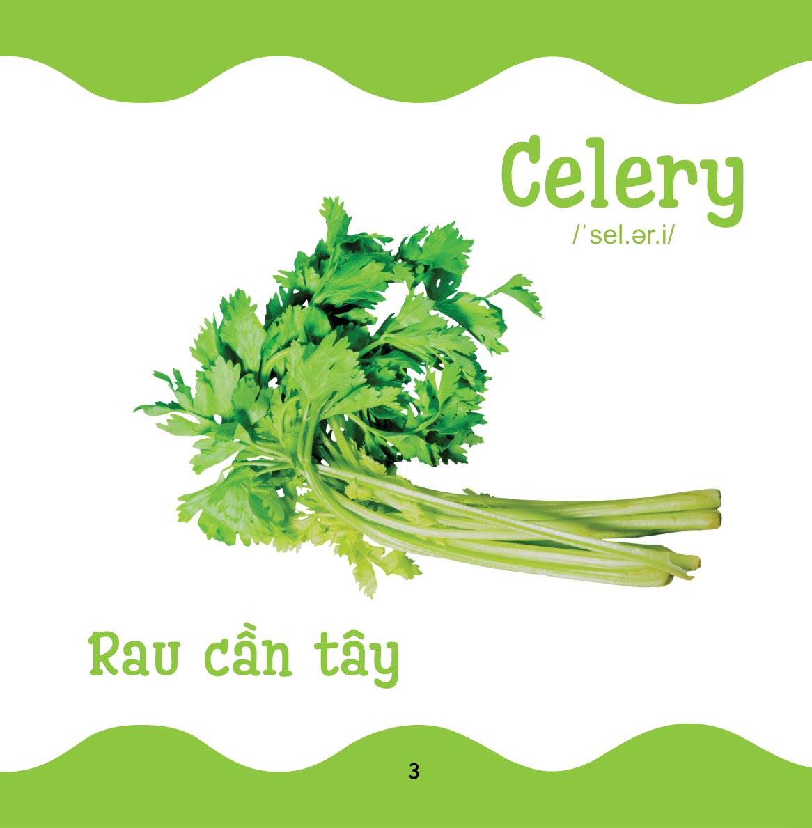 cùng con trưởng thành - từ điển bằng hình cho trẻ mầm non - rau củ quả - Ảnh 4