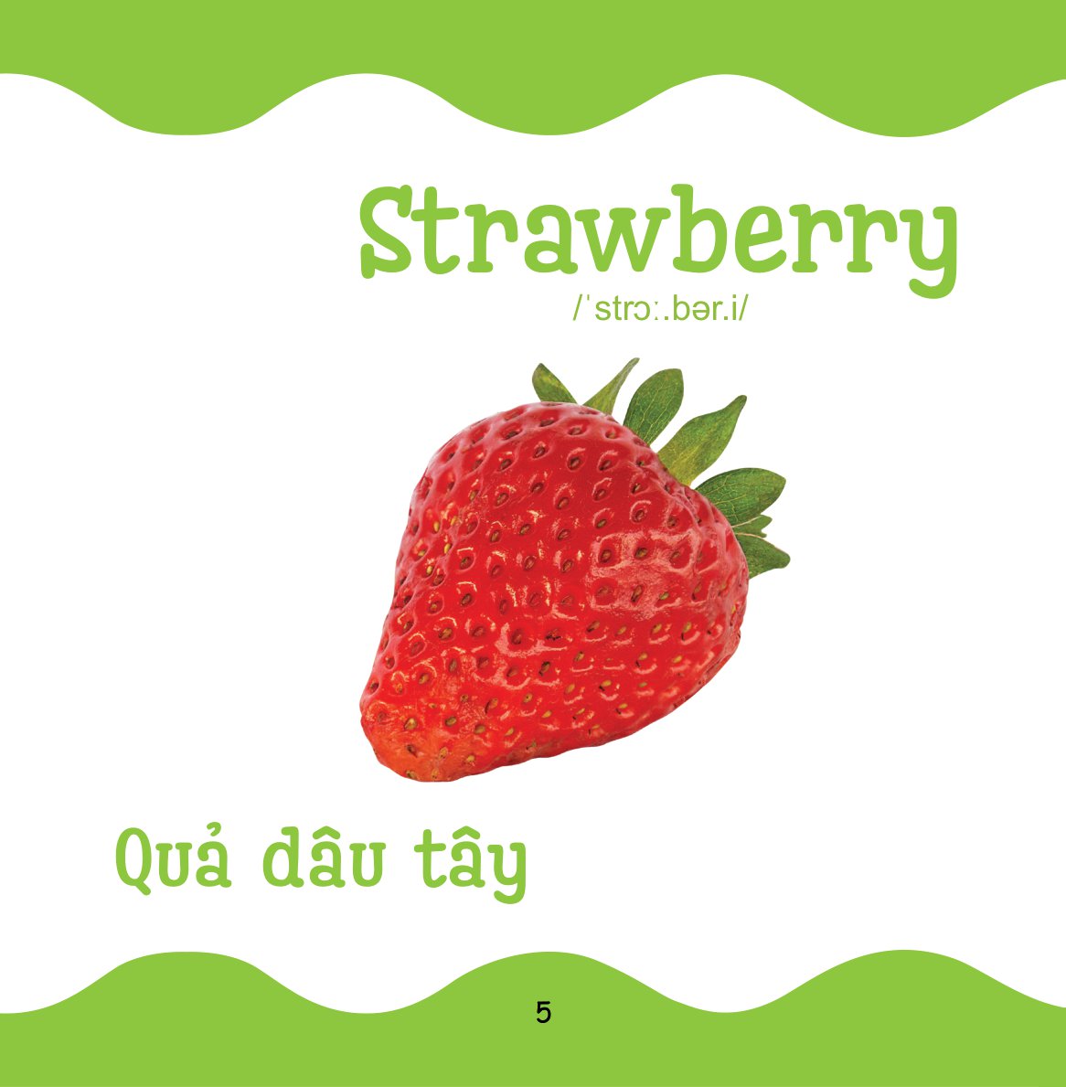 cùng con trưởng thành - từ điển bằng hình cho trẻ mầm non - rau củ quả - Ảnh 6