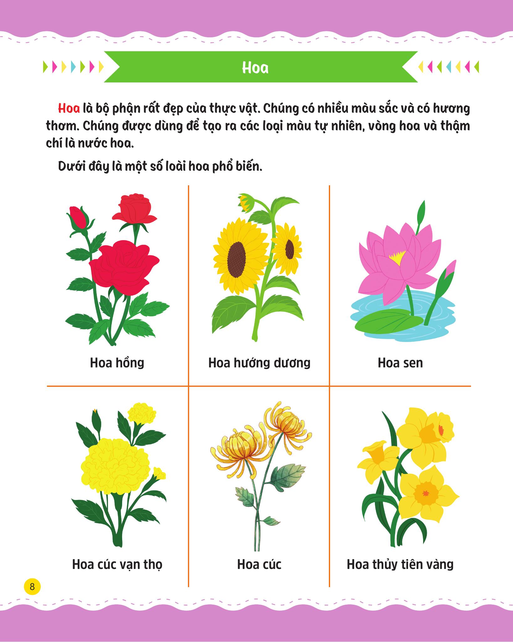 cùng em rèn luyện khoa học - cơ bản - Ảnh 10