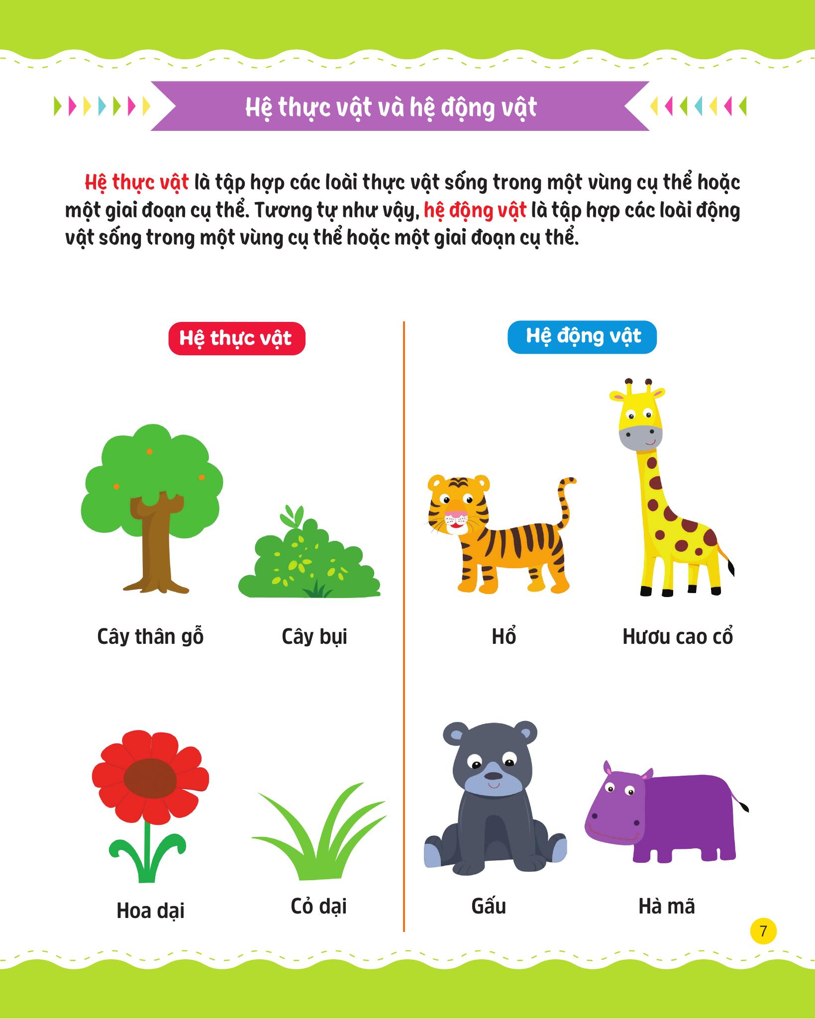 cùng em rèn luyện khoa học - cơ bản - Ảnh 9