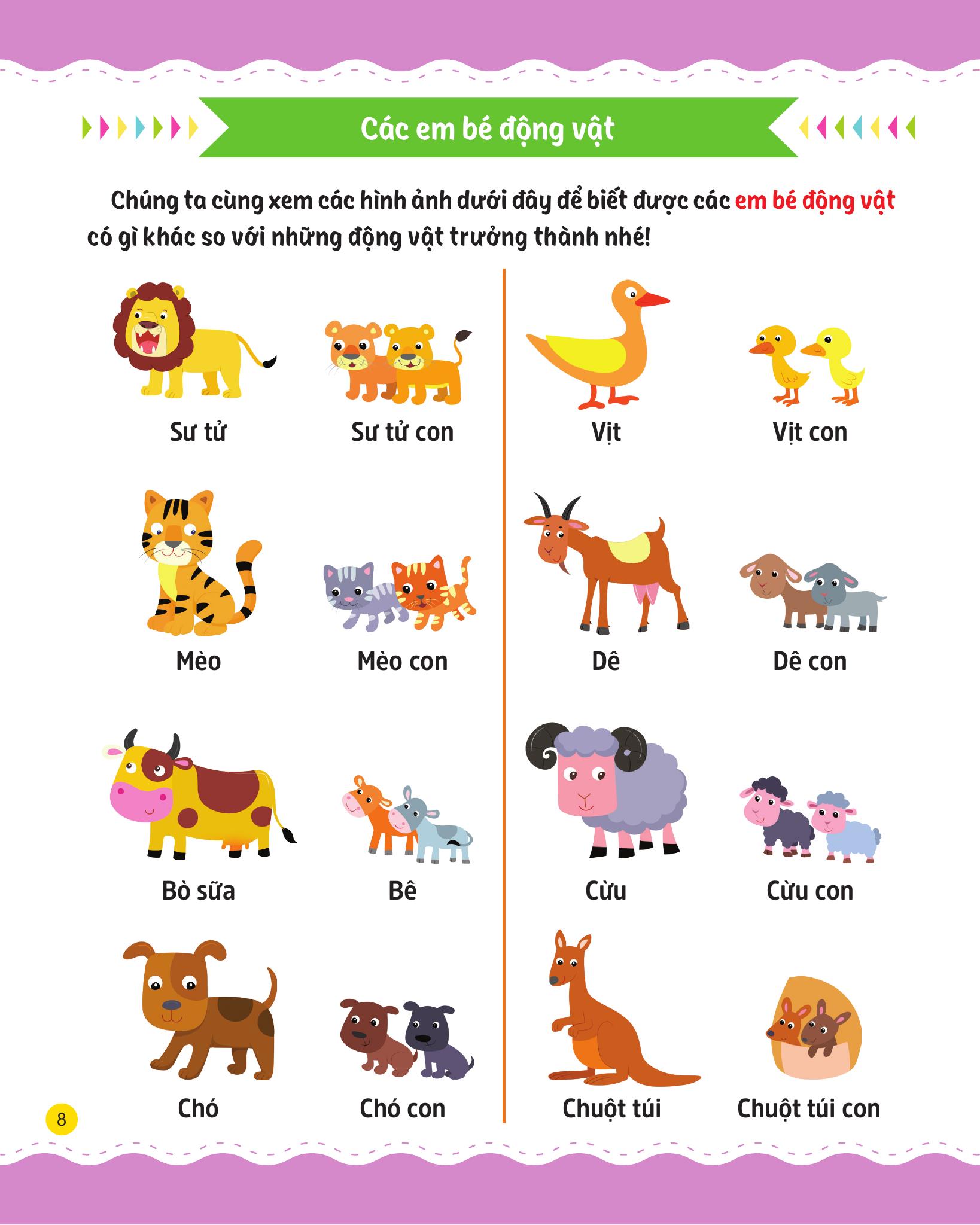 cùng em rèn luyện khoa học - nâng cao - Ảnh 10