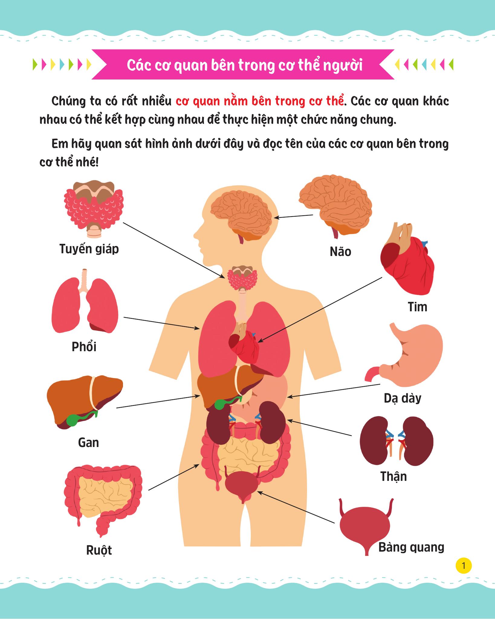 cùng em rèn luyện khoa học - nâng cao - Ảnh 3