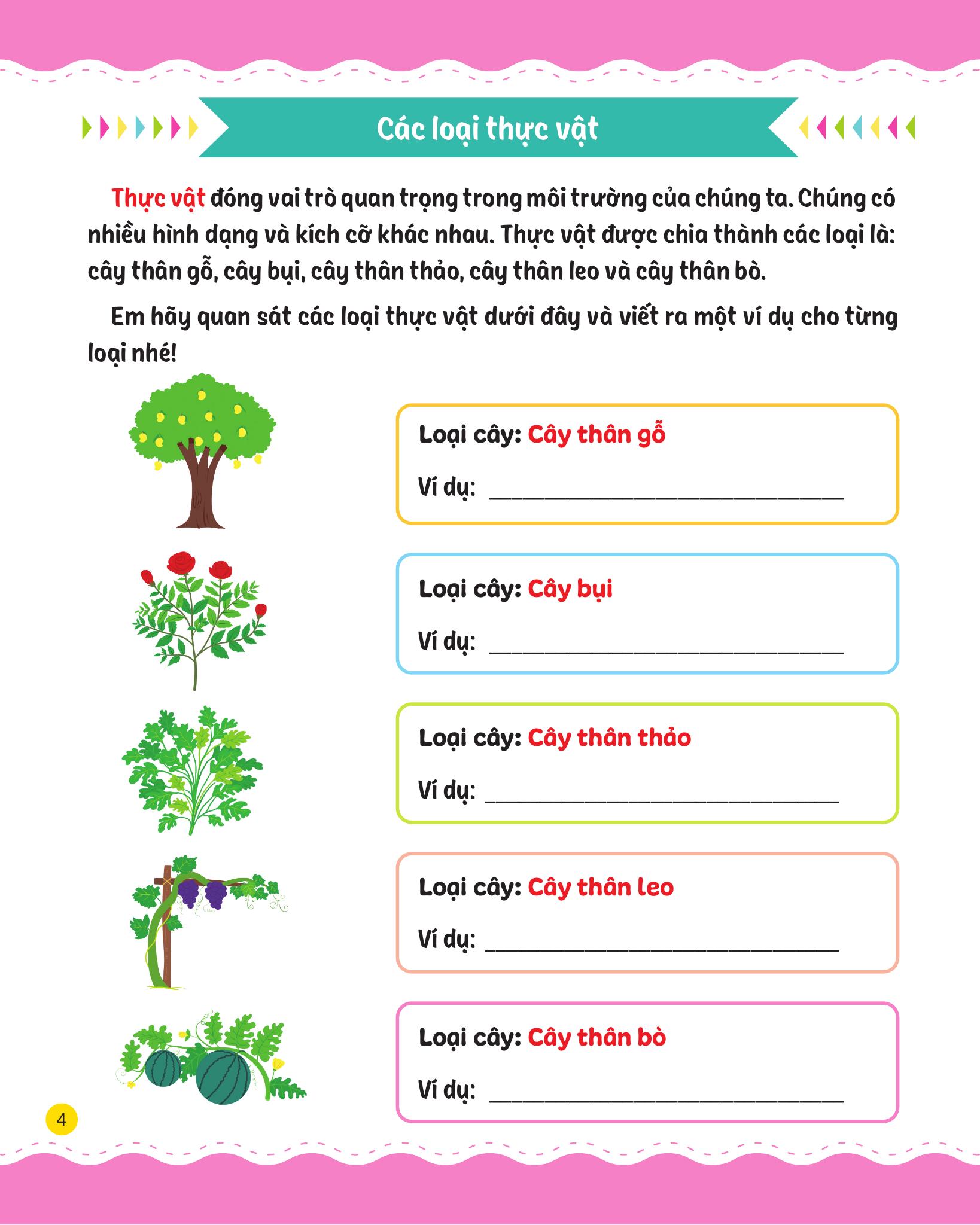 cùng em rèn luyện khoa học - nâng cao - Ảnh 6