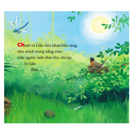 cùng gấu khám phá - the bear books: gấu học đếm - bear counts (song ngữ) - Ảnh 5