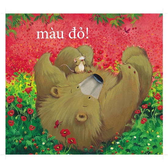 cùng gấu khám phá - the bear books: gấu nhận biết màu sắc - bear sees colors (song ngữ) - Ảnh 3