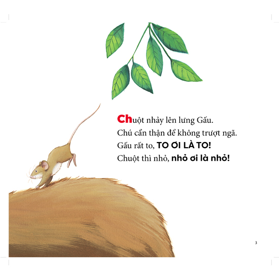 cùng gấu khám phá - the bear books: gấu to, chuột nhỏ - big bear, small mouse (song ngữ) - Ảnh 3