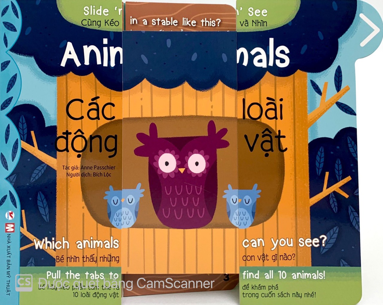 cùng kéo và nhìn: animals - các loài động vật - Ảnh 4