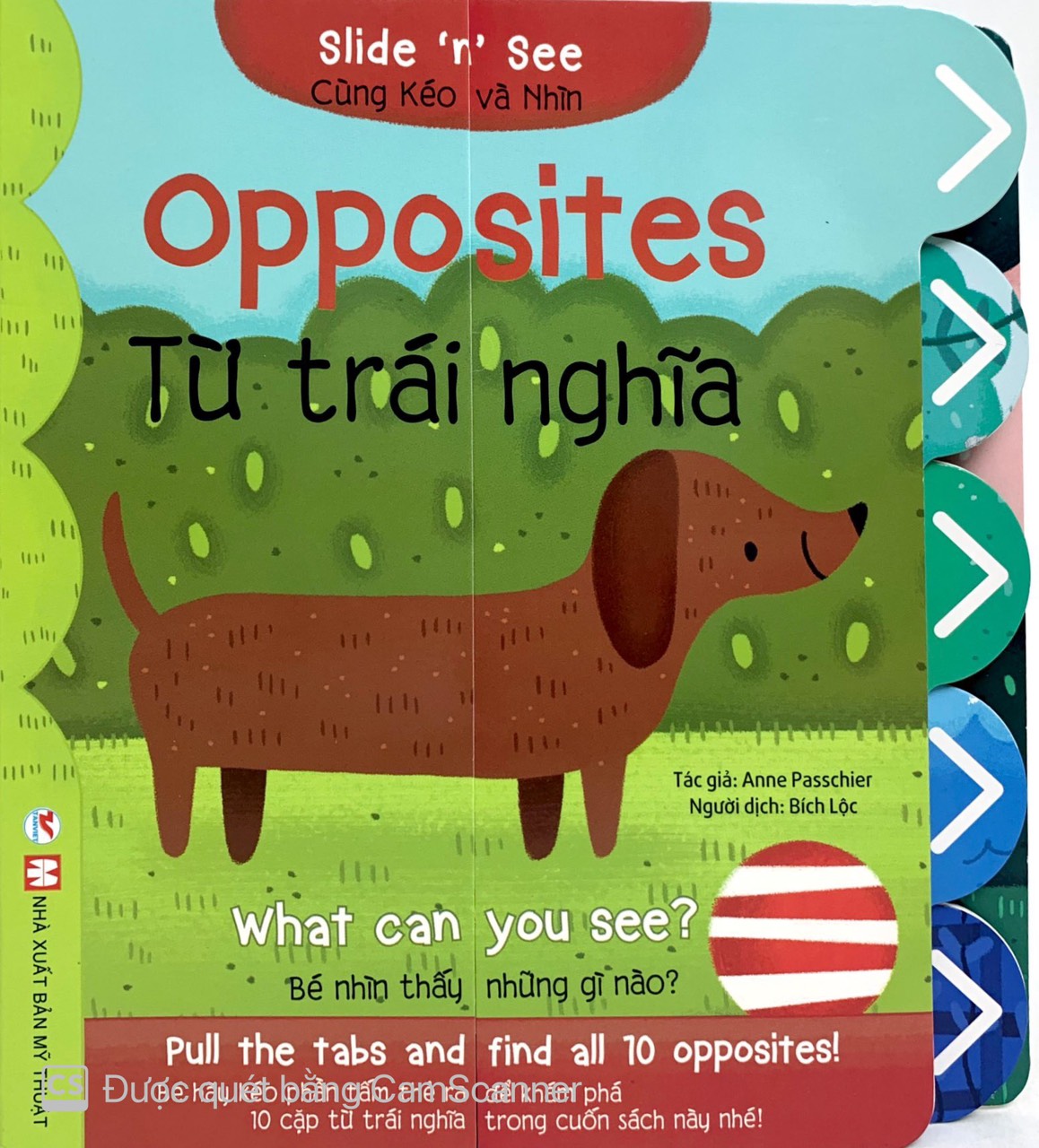 cùng kéo và nhìn: opposites - từ trái nghĩa - Ảnh 2