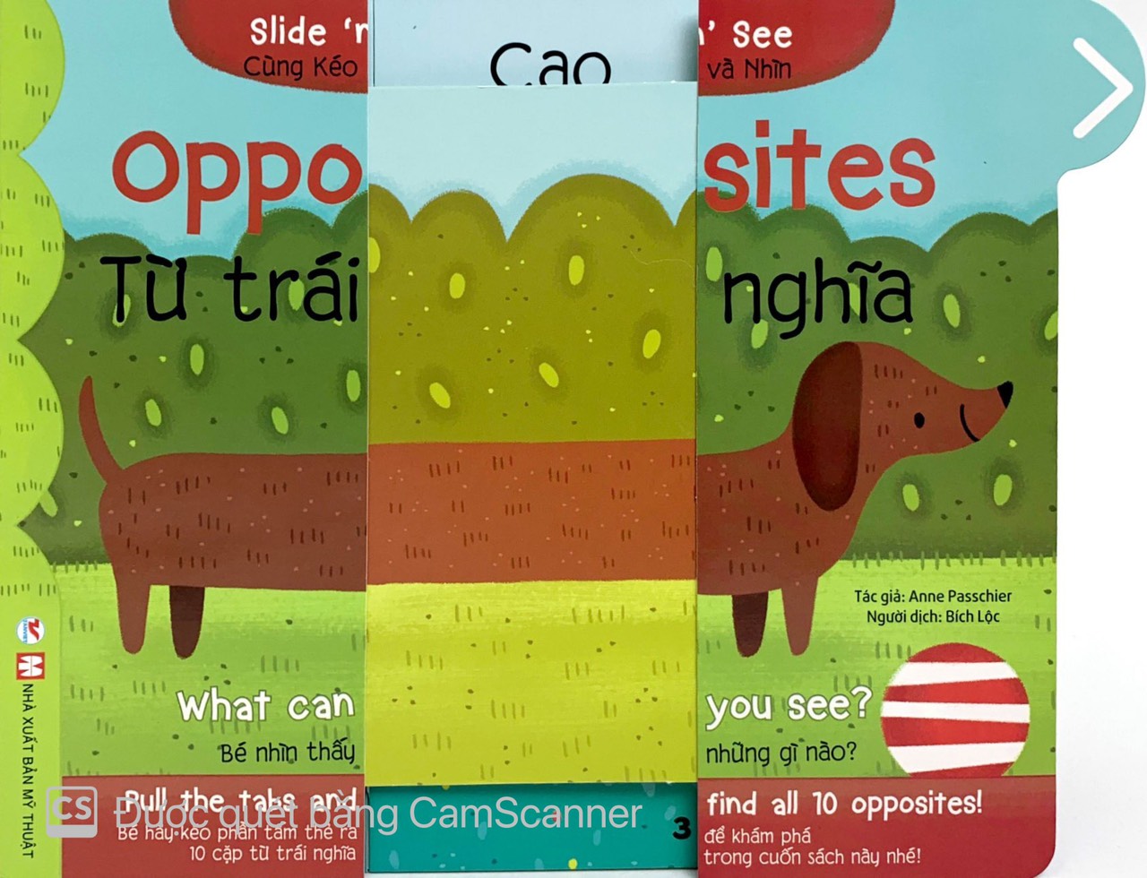 cùng kéo và nhìn: opposites - từ trái nghĩa - Ảnh 3