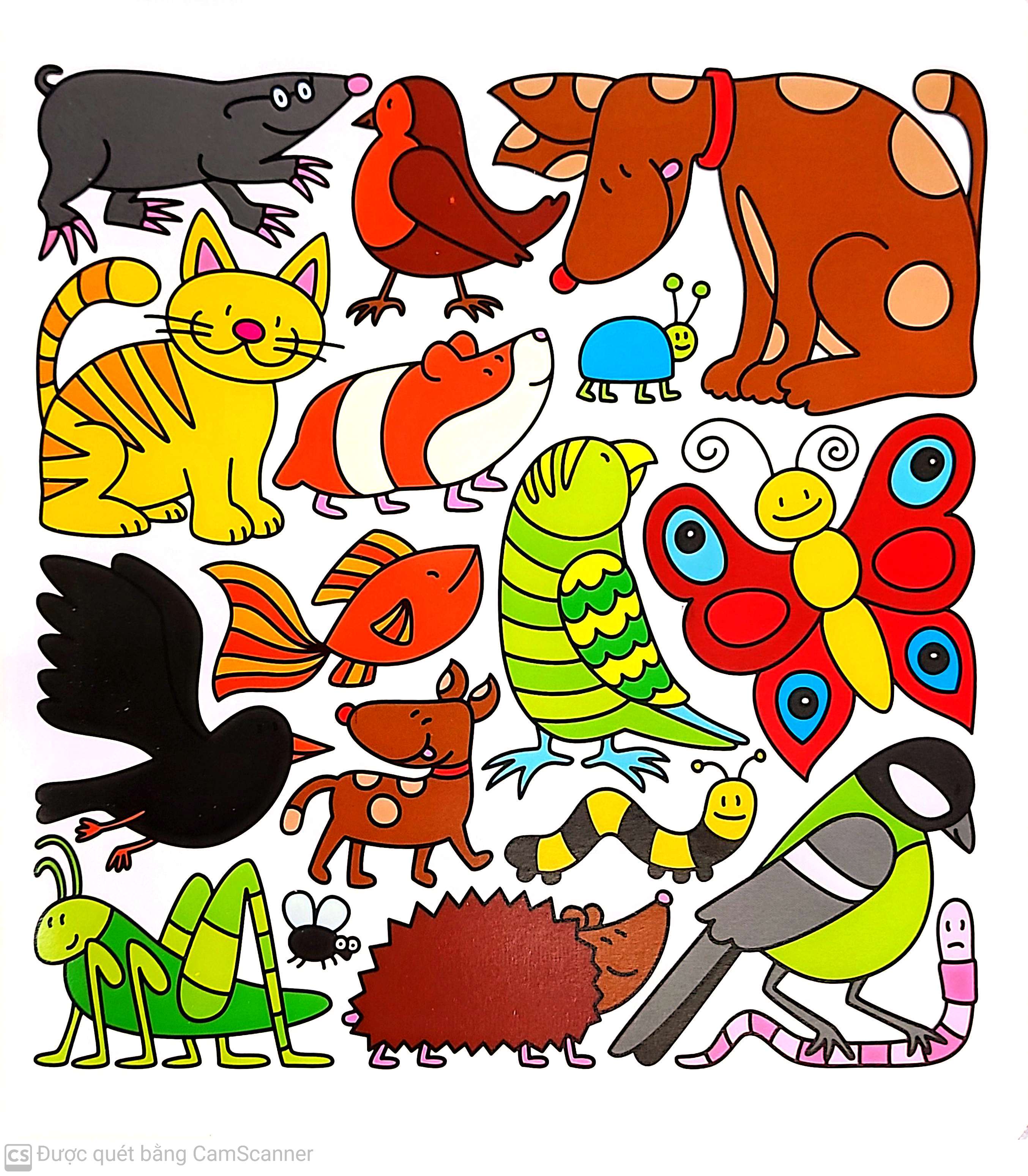 cùng tìm với bé - các bạn động vật trốn ở đâu? - Ảnh 6