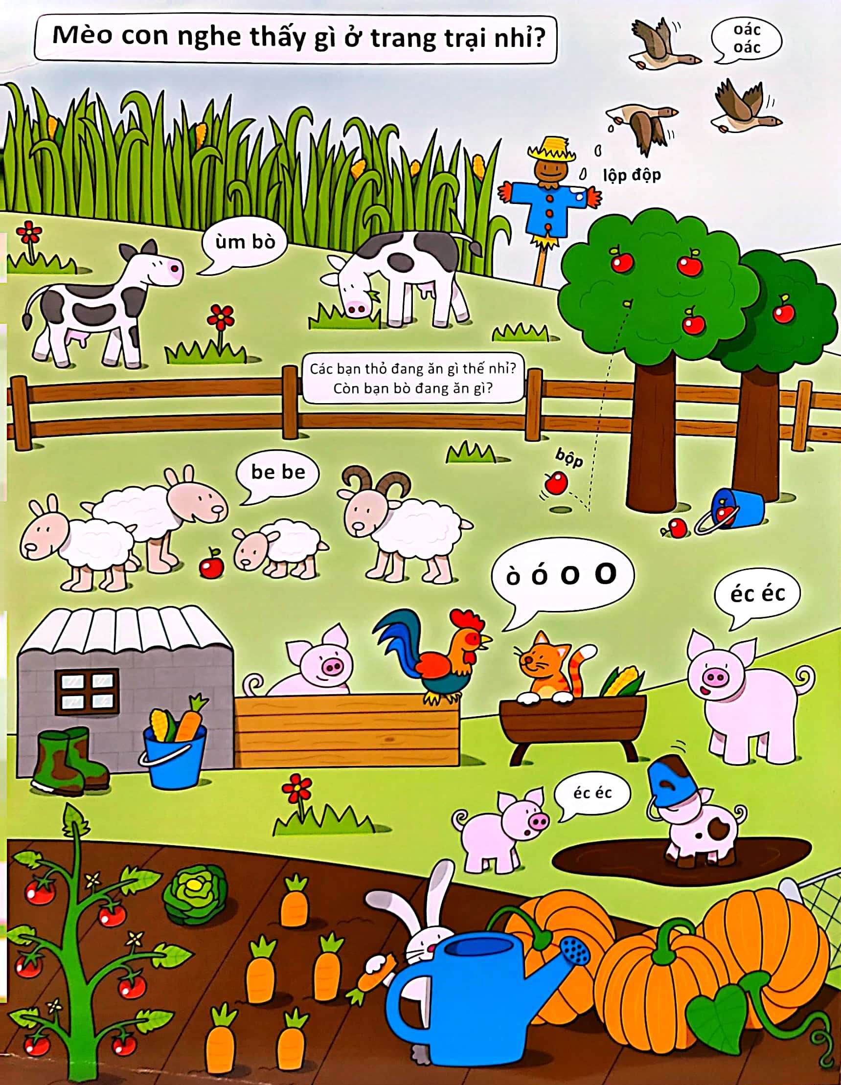 cùng tìm với bé - mèo con nghe thấy gì? - Ảnh 3