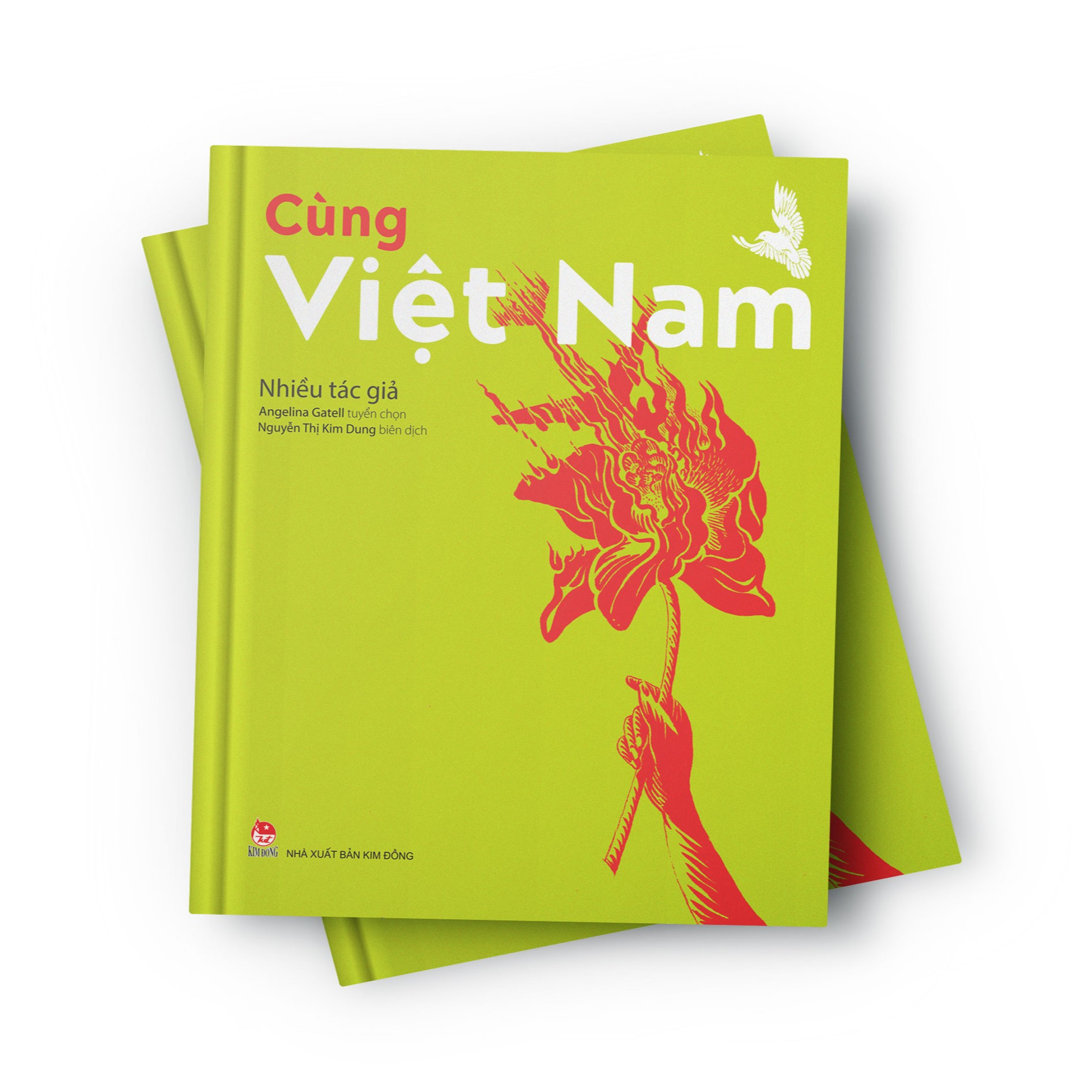 cùng việt nam - bìa cứng - Ảnh 3
