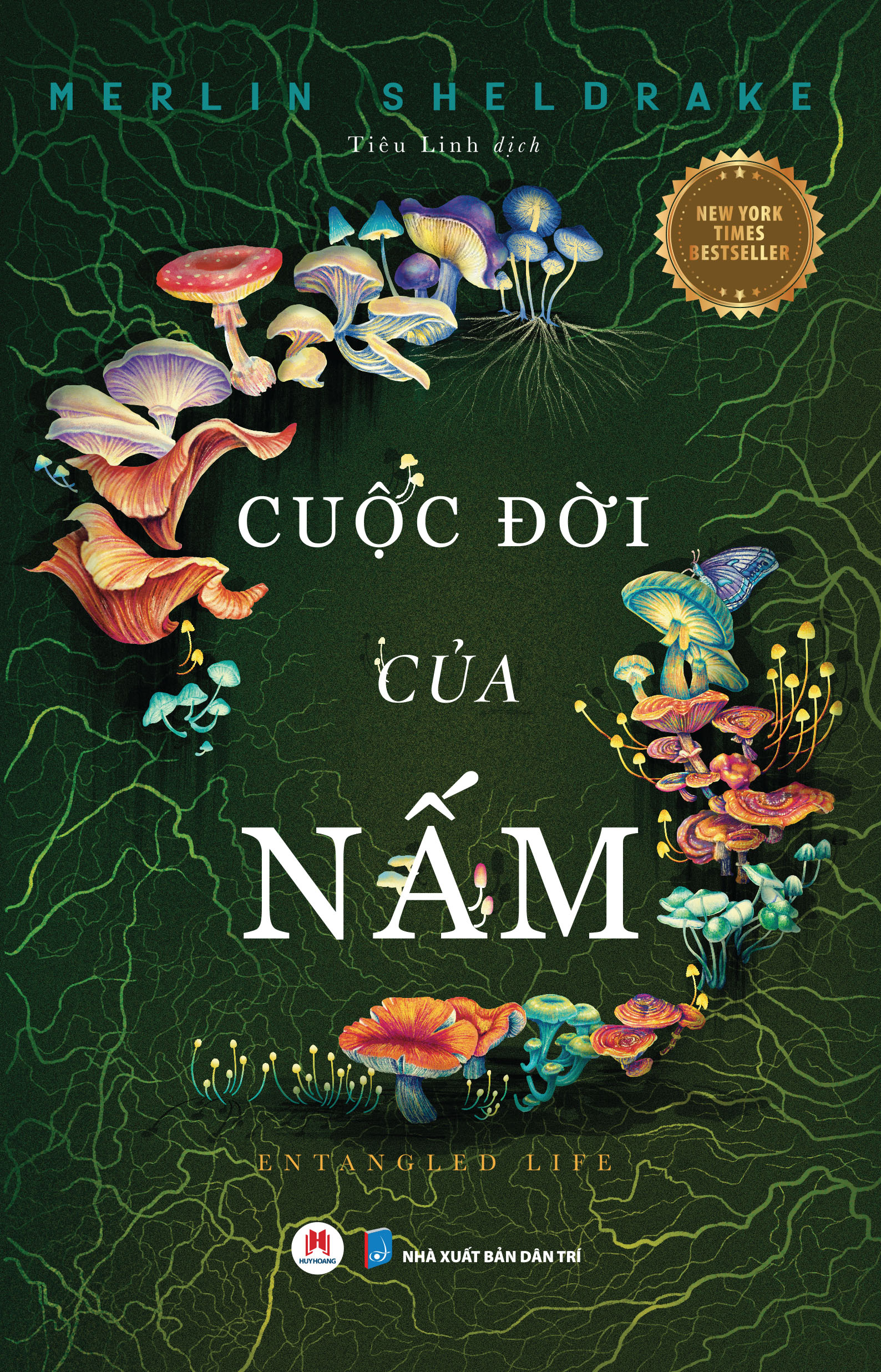 Cuộc Đời Của Nấm - Entangled Life - Ảnh 2